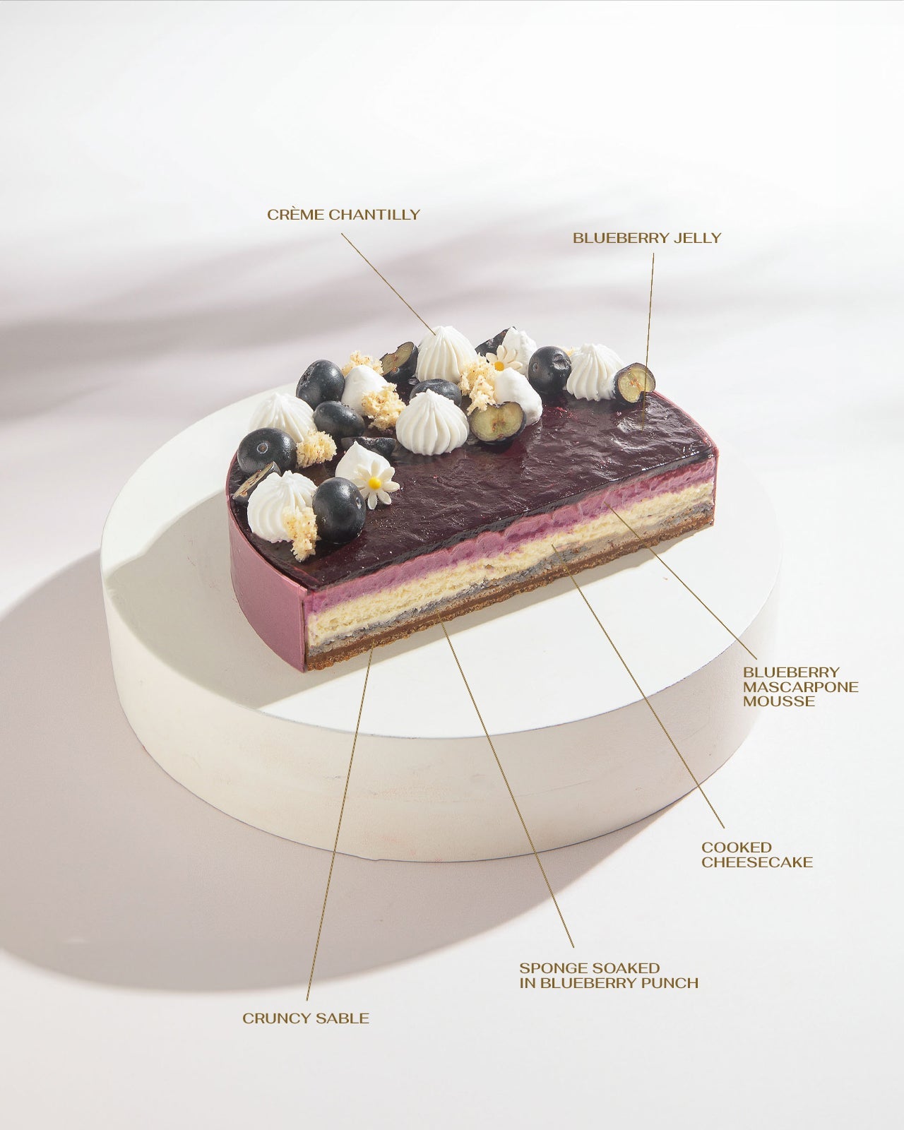 5 Layer Blueberry Cheesecake