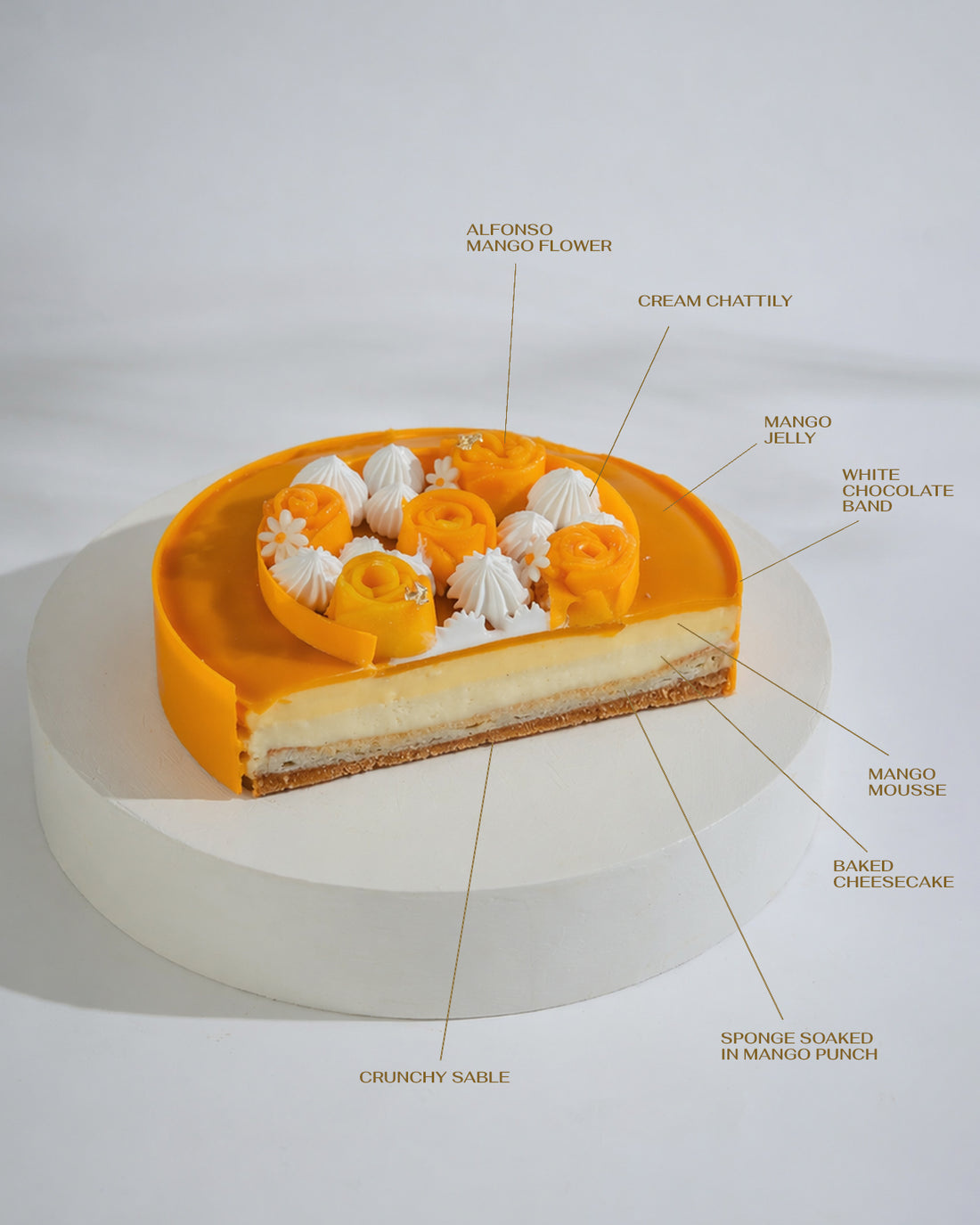 5 Layer Mango Cheesecake